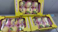 แอปเปิ้ลทองญี่ปุ่น Japanese Golden Apple พรีเมียมกล่อง6ลูก