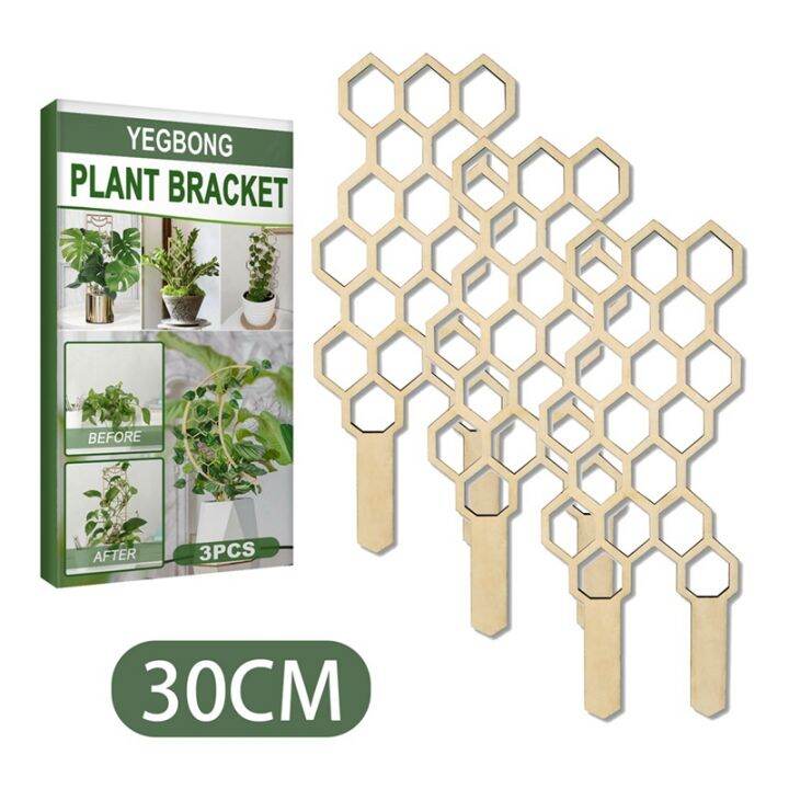 3pcs-climbing-vine-rack-plant-potted-wooden-support-frame-flower-decorative-trellis-bracket-vines-climbing-rack-pole