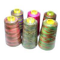 3000 yards Colorful rainbow line 40s/2 high speed polyester sewing thread type manual thread Clothing accessories