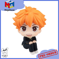 พร้อมส่ง ? LOOKUP Shoyo Hinata