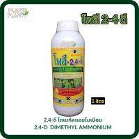 โพลี 2,4-ดี 1ลิตร ไดเมทิลแอมโมเนียม2,4-D (DIMETHYL AMMONIUM) กำจัดวัชพืช ประเภทใบกว้าง ฆ่าผักบุ้ง หญ้าแห้วหมู เครือเถา สารเดียวกับหมาแดง ช้างแดง