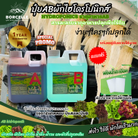 ปุ๋ย AB ไฮโดรโนิกส์ ใหม่ !!! Super GroW-โตเร็ว ขนาด 1 ลิตร 2 แกลลอน A+B และขนาด 250ml แถมฟรี โฟมน้ำ24ช่อง1แผ่น