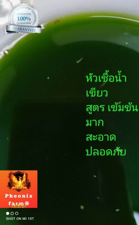 หัวเชืัอน้ำเขียวสาหร่ายคลอเรล่าเข้มข้น-ขนาด-600ml-2ขวด-อามิ-อามิ-กากผงชูรสแท้-1ขวด-ขนาด500ml