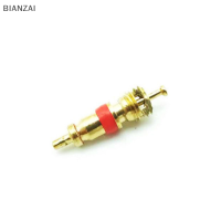 BIANZAI 5pcs Valve Cores กับจักรยานยางยางยางวาล์ว Core Remover Repair TOOL