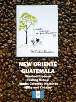 TM Coffee Roasters: New Oriente, Guatemala, Washed Process