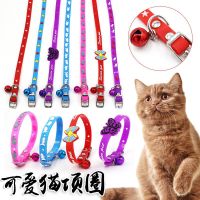 ลดล้างสต็อก 【Q019】BABY PETปลอกคอสัตว์เลี้ยง ชนิดซิลิโคน หลายสี ปรับขนาดได้ ราคาถูก สายจูง สายจูงสุนัข สายจูงแมว  สายจูงหมา เชือก เชือกรัด สายคล้อง เชือกจูงสัตว์เลี้ยง