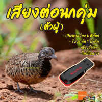 เสียงต่อ นกคุ่ม ตัวผู้ ยาว6ชั่วโมง ไม่มีโฆษณา แฟลชไดร์ฟ (Flash Drive) มีเก็บเงินปลายทาง ส่งด่วน Kerry Express