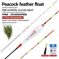 ►♙ 1PC Peacock Feather Fishing Float 1 Bag Hooks 1 Float Seat Vertical Buoy Sensitive Fishing Bobber Lake River Fishing Accessories