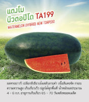 เมล็ดพันธุ์ แตงโม นิวตอปิโด TA 199 - Watermelon (HYBRID) New Torpedo ตราดอกแตง เมล็ดพันธุ์คุณภาพ "เพื่อนเกษตรกร"