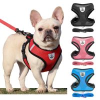 Pet Dogs Harness Leash Mesh Set For Small Dogs Adjustable Puppy Cat Chest Strap For Small Medium Dogs Cat Harnesses Vest Bulldog Leashes