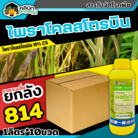 ? ?? สินค้ายกลัง ?? เซลติมา (ไพราโคลสโตรบิน) บรรจุ 1ลัง1ลิตร*10ขวด ป้องกันเชื้อราเมล็ดด่างในนาข้าว