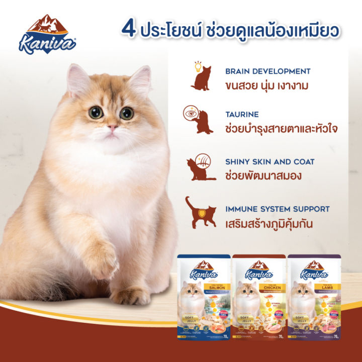 ยกโหล-12-ซอง-kaniva-อาหารเปียกคานิว่า-เหมาะสำหรับลูกแมวและแมวโต-ขนาด-70-กรัม