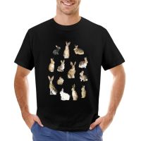 Rabbits &amp; Hares T-Shirt Sweat Shirt Quick Drying Shirt Plain T Shirts Men