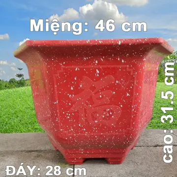 Chậu Nhựa Lục Giác 60 Giá Tốt T02/2024 | Mua tại Lazada.vn