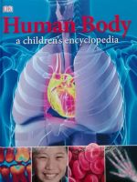 Human body a childrens encyclopedia ปกสีน้ำเงิน