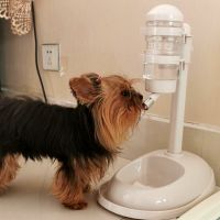 Dog Water Dispenser ปากไม่เปียกแขวนสัตว์เลี้ยง 300ml เครื่องดื่มอัตโนมัติลูกสุนัขอาหารแมวเครื่องดื่มชามกาต้มน้ำแนวตั้ง