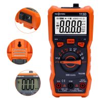 ZZOOI RICHMETERS RM113D NCV Digital Multimeter 6000 Counts Auto Ranging AC/DC Voltage Meter Flash Back Light Large Screen 113A/D