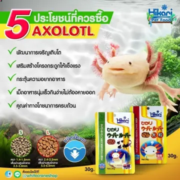 หมา น้ำ Axolotl ราคาถูก ซื้อออนไลน์ที่ - ก.ค. 2023 | Lazada.co.th หมา น้ำ Axolotl ราคาถูก ซื้อออนไลน์ที่ - ก.ค. 2023 | Lazada.Co.Th