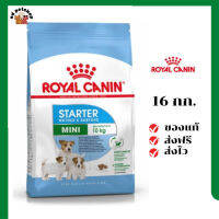 ?ส่งฟรี Royal Canin ลูกสุนัข สูตร Mini Starter เม็ดเล็ก ขนาดสินค้า 16 kg เก็บเงินปลายทาง ✨