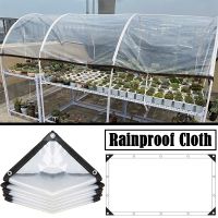 0.14mm/0.16mm Transparent Outdoor Tarpaulin Gazebo Pergola Windproof Canopy Succulent Plants Keep Warm Film PE Rainproof Cloth