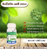 สิงห์โฟกัส เอสซี  250ml. บิสไพริแบกโซเดียม สารกำจัดวัชพืช หญ้า ในนาข้าว กำจัดหญ้าแดง หญ้ากระดูกไก่หญ้าดอกธูป หญ้าดอกต่อหญ้าเดือยallabountplants