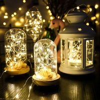 1M 2M 3M 5M 10M Copper Wire LED String Lights Holiday Lighting Fairy Garland For Christmas Tree Wedding Party Decoration