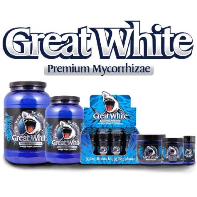 พร้อมส่ง-ลดgreat-white-mycorrhizae-ผงเร่งราก-10-กรัม-ของแท้-100-ระเบิดราก-นำเข้า-usa-เร่งโต-ผงเร่ง-ราก-ต้นไม้-สมุนไพร-แคคตัส-บอนไซ-สินค้าใหม่