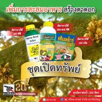 ชุดเปิดทรัพย์ เร่งสร้างตาดอก กระตุ้นการออกดอก เทอรา ซอร์บ ขนาด 1 ลิตร ควีแลนท์ แคลเซียม ขนาด 1 ลิตร  สติมเพล็กซ์ โกลด์ ขนาด 10 กรัม (10 ซอง)