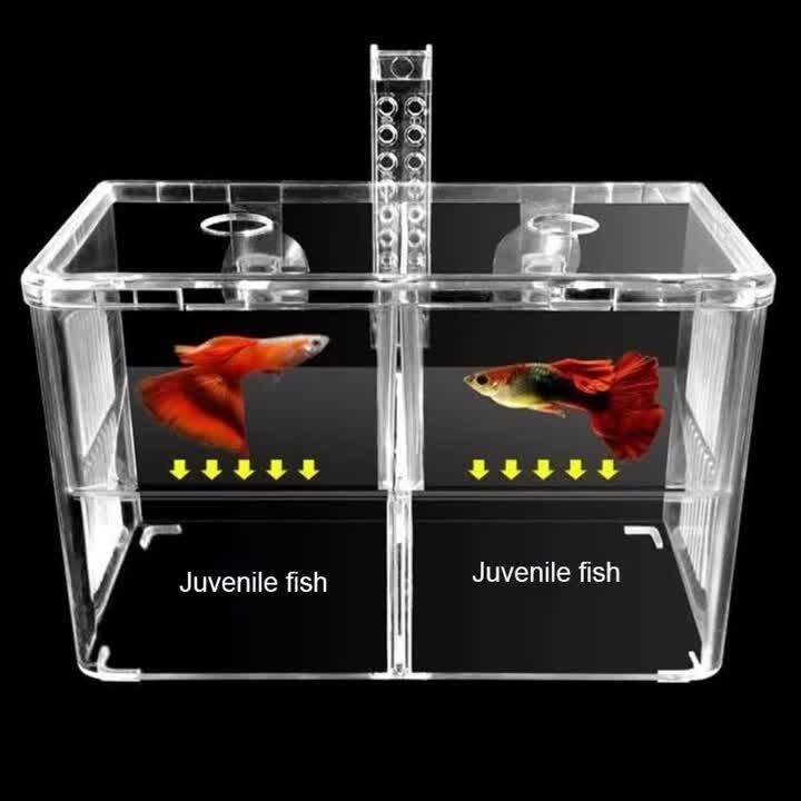 Aquarium Accessories Acrylic Fish Breeding Isolation Fish Tank Aquarium