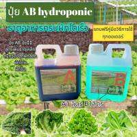 ปุ๋ยไฮโดรโปนิกส์ ปุ๋ยAB ปุ๋ยน้ำ ปุ๋ยผักสลัด สำหรับปลูกผัก Hydroponics ขนาด1000ML New สูตรเข้มข้น ร้าน ไฮโดรโปนิกส์-ST1