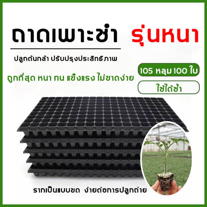 จัดส่งจากกทม-ถาดเพาะกล้า-ถาดเพาะชำ-105หลุม-100แผ่น-ถาดเพาะต้นกล้า-ถาดเพาะต้นอ่อน-ถาดเพาะเมล็ด-ถาดเพาะข้าว-ถาดเพาะปลูกผัก-ปลูกต้นไม้