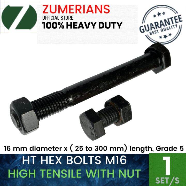 High Tensile Hex Bolt M16, or HT Hexagonal Bolt Screw, Size 16 mm diameter, 25 mm to 300 mm