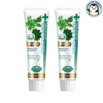 (แพ็ค 2) Dentiste Premium Care Toothpaste Tube  เดนทิสเต้ยาสีฟันสูตรพรีเมี่ยมแคร์  หลอด100กรัม  [HHTT]