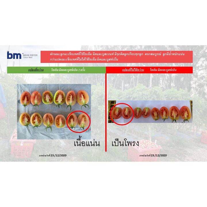 แบ่งขาย-1-kg-โอเอ็มมิค-สุดยอด-ของ-ฮิวมิคแอซิค-กรดฮิวมิค-กรดฟลูวิล-กรดอัลมิคจากธรรมชาติ-ปลดปล่อยธาตุคาร์บอนเข้าสู่ดิน