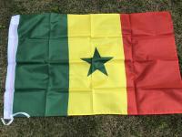 Physical photographyxvggdg 60x90cm Senegal flag 2x3 Feet Super Poly football FLAG Indoor Outdoor Polyester Flag Cables