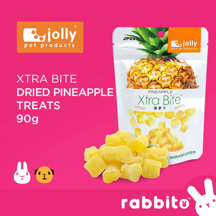 Jolly Xtra Bite Dried Pineapple Treats 90g for rabbits, guinea pigs and