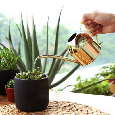 【CW】 Watering Pot Spout 500ML Can Garden regadera plantas лейка для цветов