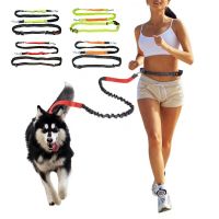 【LZ】 Jogging Pet Traction Leash Hands Free with Adjustable Hip Belt Long Reflective Traction Rope Free Control for One / Two Dogs