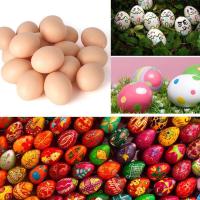 1pcs Hen Lead The Egg Poultry Simulation Faux Fake Eggs Y9E8 Plastic G8F8