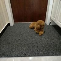 [COD] Silk ring door mat pvc entry anti-slip wash-free can be cut