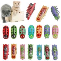 Pet Interactive Electric Bug Cat Escape Obstacle Automatic Flip Toy แบตเตอรี่ดำเนินการสั่นสะเทือน Pet Beetle Playing Toy-lihaibo2