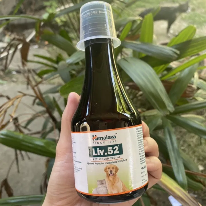 Liv. 52 Syrup 200ml bottle Lazada PH