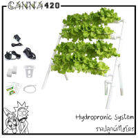 ชุดคิท Hydroponic NFT 36 Holes Growing System with Special Fertilizer Timing Cycle, PVC Pipe Garden Plant Kit ไฮโดรโปรนิก รางปลูกผักไฮโดร