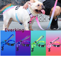 Everking Leash Set Best-selling Fashion Personalized Gradient Color Dog Chain Collar Chest Strap Leash Set Dog Accessories