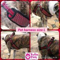 Kutiepom ชุดสายรัดตัวพร้อมสายจูงสำหรับสุนัขพันธุ์ใหญ่ คุณภาพดี Big dog harness and leash