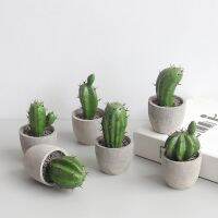 【cw】 Artificial Cement Cactus Ornament for Display Mold Desktop Figure