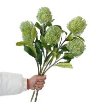 ONE Faux Single Stem Pincushion Flower 24 Length Simulation Plastic Anemone Flowers Green Leaf for Wedding Centerpieces