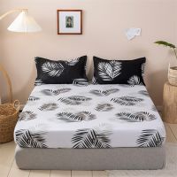 【CW】 Fitted Sheet Bedsheet King Size Mattress Cover Bed for All (Pillowcase Can Order)