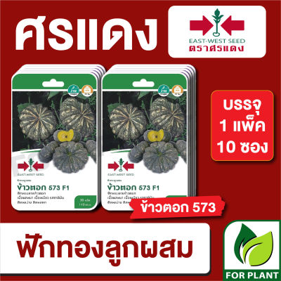 ผักซอง ศรแดง เมล็ดพันธุ์ พันธุ์ผัก ฟักทอง ข้าวตอก F1 บรรจุแพ็คล่ะ 10 ซอง ราคา 225บาท