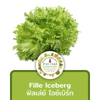 [10แถม1] เมล็ดพันธุ์ ฟิลเล่ย์ไอซ์เบิร์ก Frillice Iceberg ประมาณ 110 เมล็ด (0.1กรัม) เมล็ดพันธุ์ ผักสลัด อัตราการงอกดี